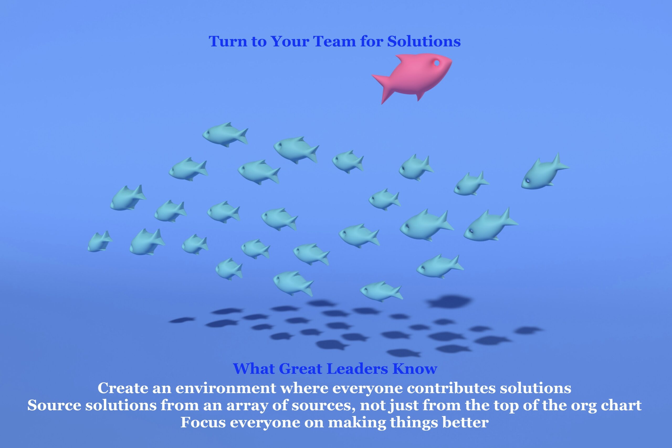 Turn to Your Team                      for Solutions